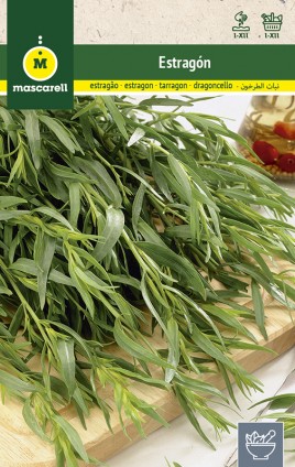 TARRAGON