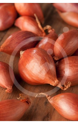 SHALLOTS 7/14