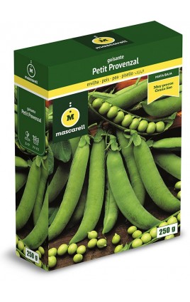 Pea Petit Provenzal - Negret