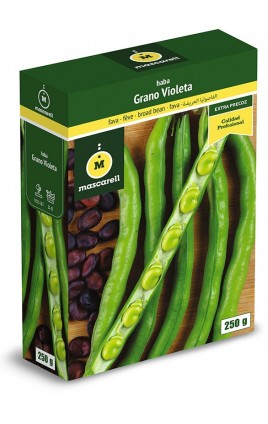 Haba Extra Precoz de Grano Violeta