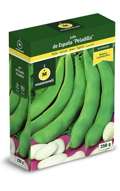 Bean de España “Peladilla”