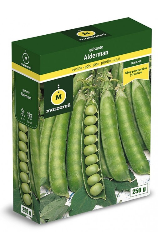 Pea Alderman