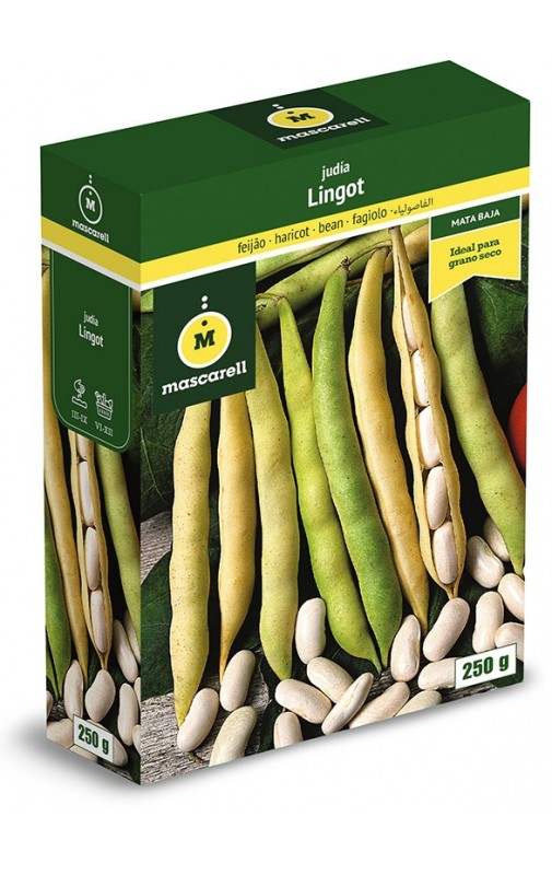 Bean Lingot Suisse