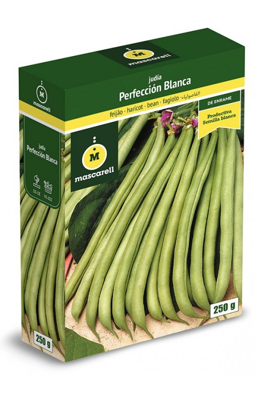 Bean PERFECCIÓN