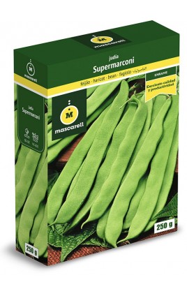 Bean SUPERMARCONI