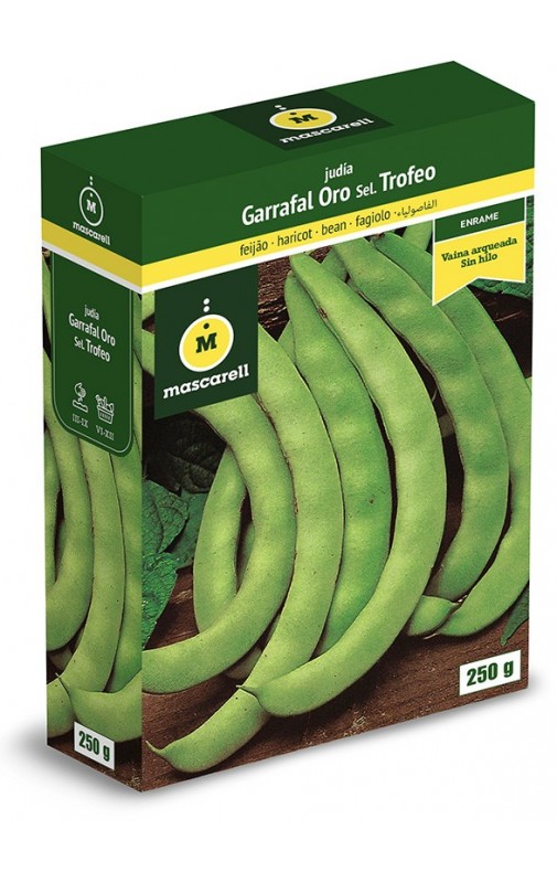 Bean Garrafal Oro