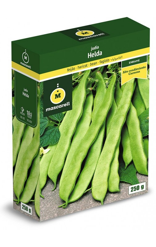 Bean Helda