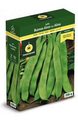 Bean Buenos Aires Verde Sel. ALINA