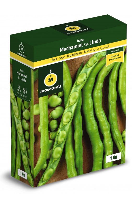 bROAD Bean Muchamiel Sel. LINDA