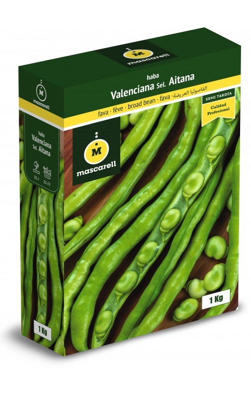 Bean Valenciana Sel. AITANA