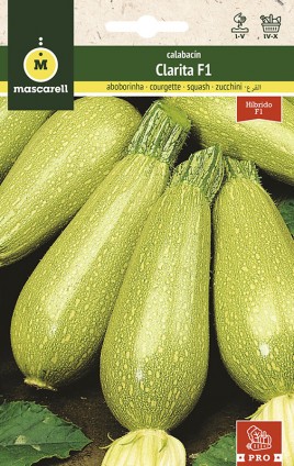 COURGETTE CLARITA F1