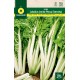 SWISS CHARD LUCULLUS