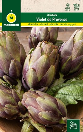 Artichoke Violet de Provence