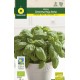 BASIL GENOVESA GIANT "RAINBOW-ECO"