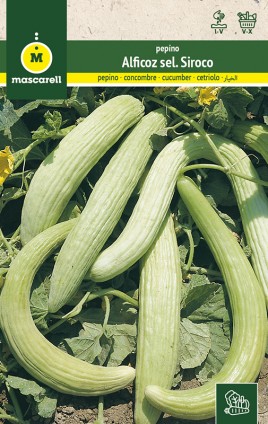 CUCUMBER ALFICOZ