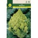 BROCCOLI ROMANESCO