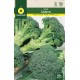 GREEN BROCCOLI CALABRESE