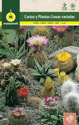 CACTUS Y PLANTAS CRASAS VARIADAS