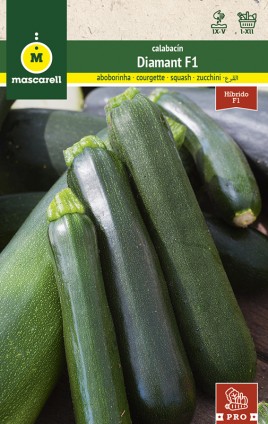 COURGETTE DIAMANT F1