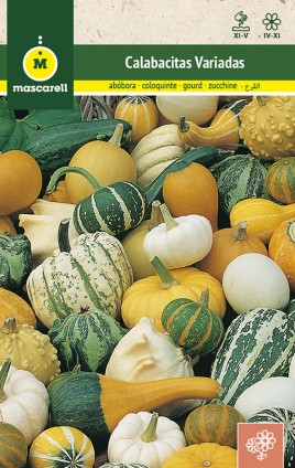 ORNAMENTAL GOURDS