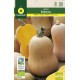 courge BUTTERNUT