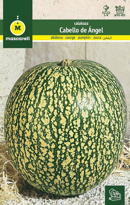 COURGE “CABELLO DE ÁNGEL”