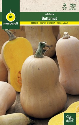 CALABAZA BUTTERNUT