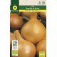 Onion Amarilla de Parma "RAINBOW-ECO"