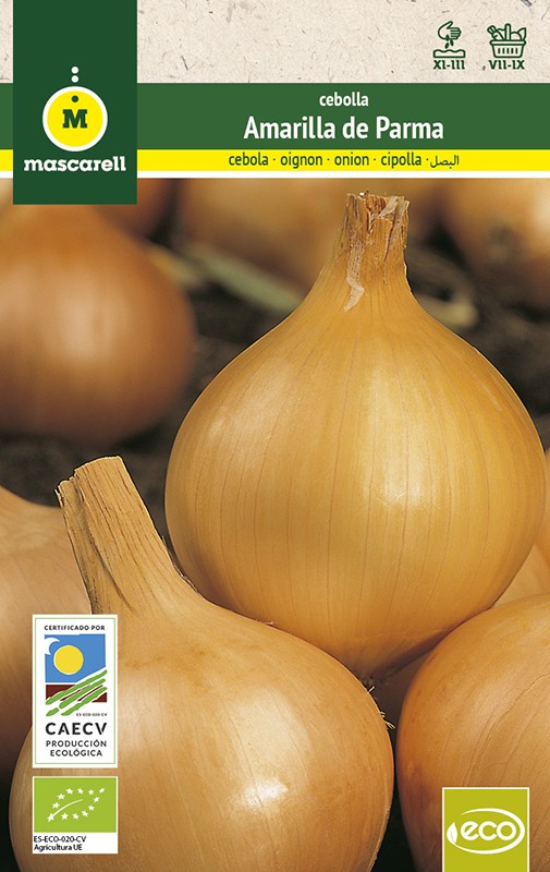Onion Amarilla de Parma "RAINBOW-ECO"