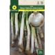 CEBOLLA BLANCA TARDIA DE LERIDA (CALÇOTS)