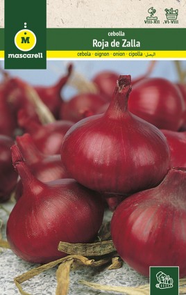 ONION RED ZALLA