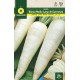WHITE GUERNESEY PARSNIP