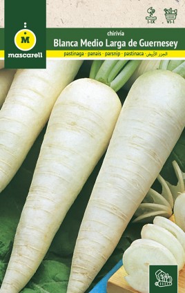 WHITE GUERNESEY PARSNIP