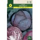 RED CABBAGE CABEZA NEGRA 2