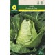 CABBAGE COR DE BOU