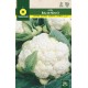 CHOU-FLEUR SNOWBALL-X