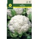 CAULIFLOWER METROPOLE