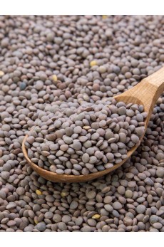 LENTILS