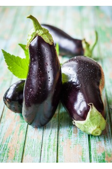 AUBERGINE