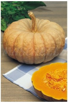 CALABAZA