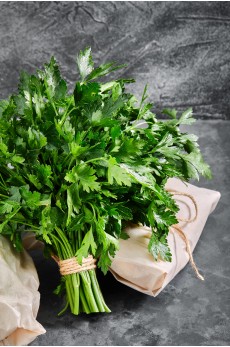 PARSLEY