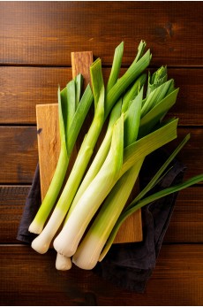 LEEK