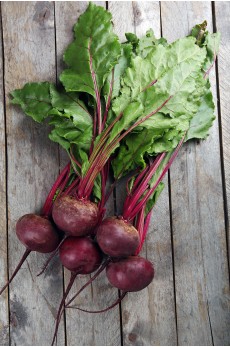 BEETROOT