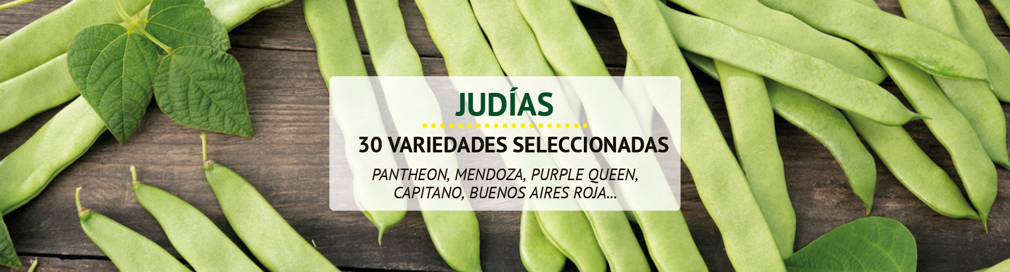 Judías 