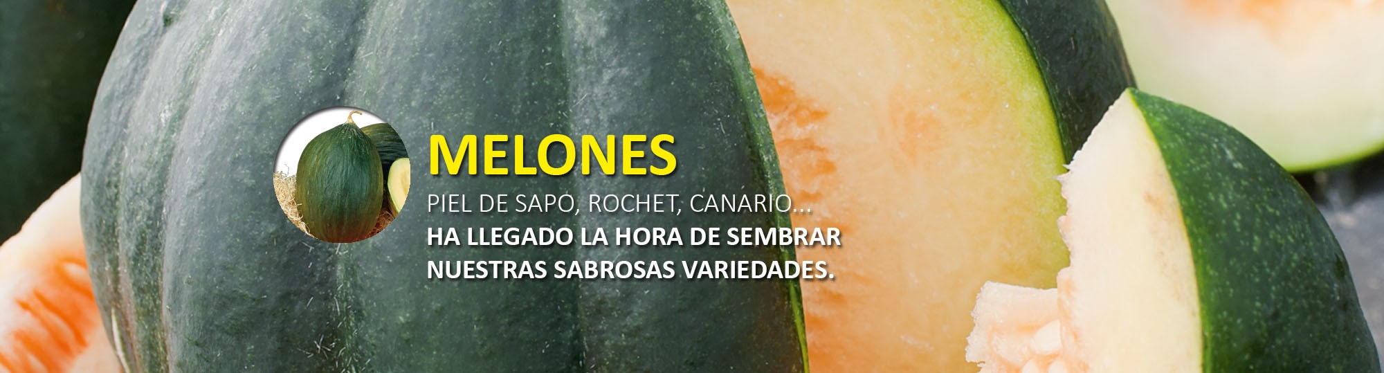 Melon